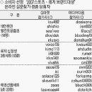 명품 경향신문