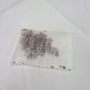 아이앤티 | 수족냉증, 임신 준비에 좋은 아이앤티 대추차 내돈내산 후기 ☕