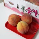 주월농장 이미지