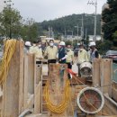 완도8호 이미지