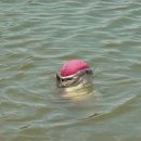 강호주유소 이미지