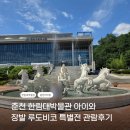 한림대학교박물관 | 춘천 한림대박물관 아이와 가볼만한곳｜장발 루도비코 특별전·역사유물 관람 후기
