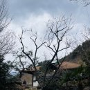 산길민박 이미지