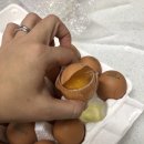 왕란약국 | 1월 둘째 주 일상