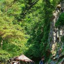 6-2-농 영농조합법인 이미지