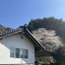 곡천민박 네이버블로그