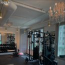 테리스짐 이미지