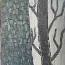 잣나무집 이미지