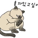온 동물의료센터 이미지