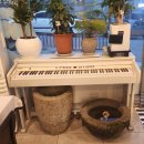 썬더치킨 주안남부역점 이미지