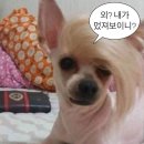 000-2-000033 | 아크네스튜디오 ㅣ크루넥 울 니트