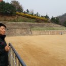 임*재 이미지