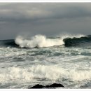 일신아파트 버스정류장 옆 이미지