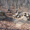 추원모차골 이미지