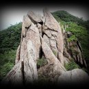 곡성-013 Daum카페