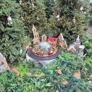 제이트리 이미지