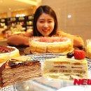 코쿤스토리 이미지