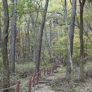 광운농장 | 11월의 광교산(종루봉) 등산 &amp; 노포맛집 백운주말농장 🙋🏻‍♀️