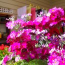 길목가든 이미지