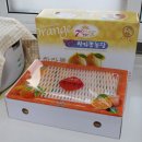 칠십리감귤한라봉농장
