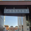 성모척관병원 이미지