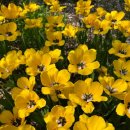 무심교옆 이미지