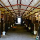 문경승마클럽 이미지