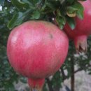 범은농장 이미지