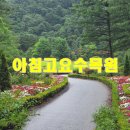 하늘오두막 | 위치, 운영시간, 관람료, 주차, 에덴계곡, 하늘길, J의오두막정원, 정한재, 서화연, 구름다리, 아침봄...