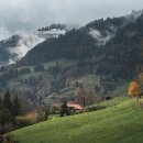 낭만하우스 이미지