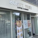 바니(BONNY) 네이버블로그