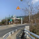 네일잔몽