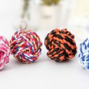 강아지 이모 이미지