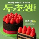투썸 이미지
