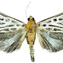 검은들로 이미지