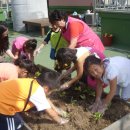 초록향기작은도서관 이미지