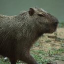 우림농장 이미지