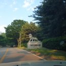 천룡컨트리클럽 | 당진땅콩장의 "천룡컨트리클럽" 조인라운딩 후기^^