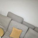 새집 먼지다듬이 제품 후기 전격 공유!