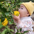 샛별목장 이미지