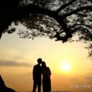 임천 가림성 느티나무 이미지