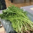 삼부자미나리 | 경산 삼부자 미나리 (자세한 솔직 후기!!!) (경산 미나리 삼겹살, 남천면 산전리 맥반석 미나리)