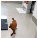 닥터팬더 동물병원 이미지