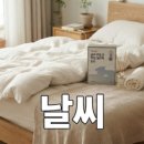 피비포토 | 연극 플리백 솔직 후기와 관람 정보 정리