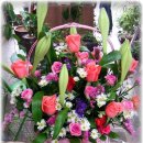 지노메디 이미지