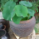 들뫼풍경 이미지