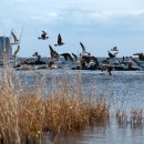 쉼표하나 이미지