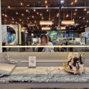 대치2-107 | 대치동미용실 라벨르헤어에서 인생머리 찾았어요! 대치역미용실 추천 후기