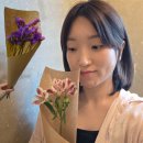 꽃보다강아지 - 포항시 북구 기남길 282 | 약수역 카페 사루 | 꽃, 강아지, 아날로그 감성 다 있는 카페 후기