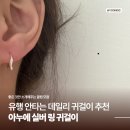 아누에 | 데일리로 손이 자주 가는 아누에 실버 링 귀걸이 후기